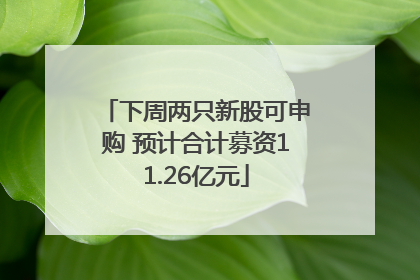 下周两只新股可申购 预计合计募资11.26亿元