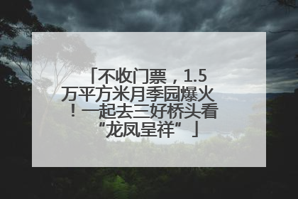 不收门票，1.5万平方米月季园爆火！一起去三好桥头看“龙凤呈祥”