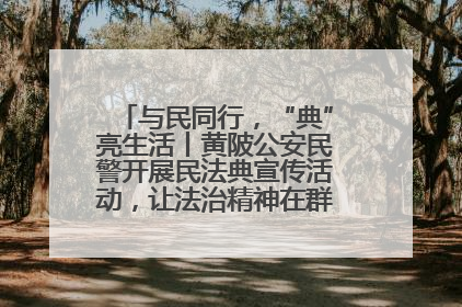 与民同行，“典”亮生活丨黄陂公安民警开展民法典宣传活动，让法治精神在群众心中落地生根