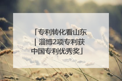 专利转化看山东｜淄博2项专利获中国专利优秀奖