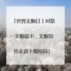世界无烟日丨对第一支烟说不，无烟宣传走进十堰校园