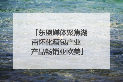 东盟媒体聚焦湖南怀化箱包产业 产品畅销亚欧美