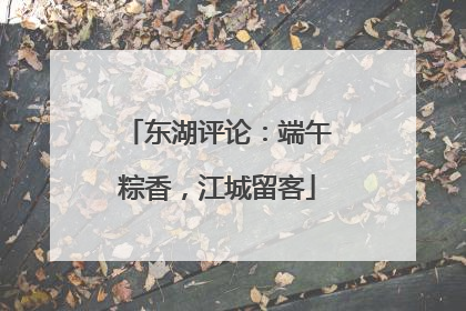 东湖评论：端午粽香，江城留客