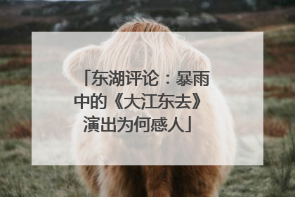 东湖评论：暴雨中的《大江东去》演出为何感人