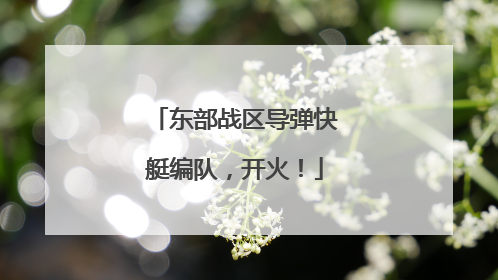 东部战区导弹快艇编队，开火！