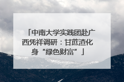 中南大学实践团赴广西凭祥调研：甘蔗渣化身“绿色财富”