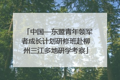 中国—东盟青年领军者成长计划研修班赴柳州三江多地研学考察