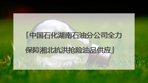 中国石化湖南石油分公司全力保障湘北抗洪抢险油品供应
