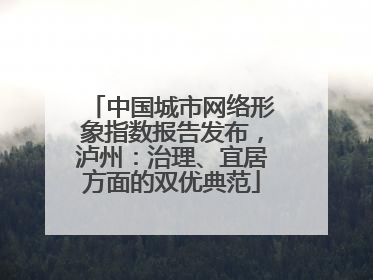中国城市网络形象指数报告发布，泸州：治理、宜居方面的双优典范