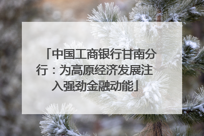 中国工商银行甘南分行：为高原经济发展注入强劲金融动能