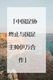 中国足协终止与国足主帅伊万合作