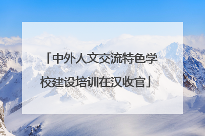 中外人文交流特色学校建设培训在汉收官