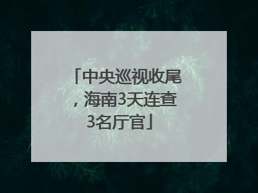 中央巡视收尾，海南3天连查3名厅官