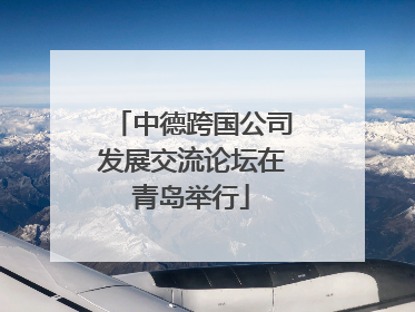 中德跨国公司发展交流论坛在青岛举行