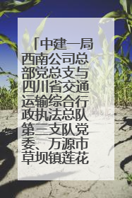 中建一局西南公司总部党总支与四川省交通运输综合行政执法总队第三支队党委、万源市草坝镇莲花院村党支部开展党建联建