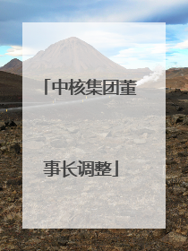 中核集团董事长调整
