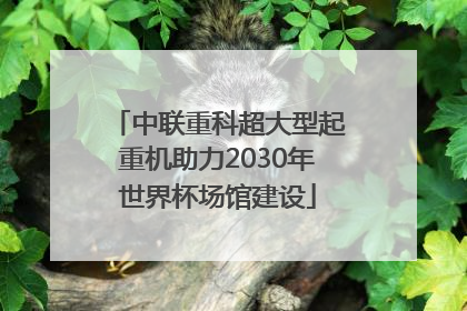 中联重科超大型起重机助力2030年世界杯场馆建设