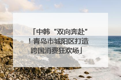 中韩“双向奔赴”！青岛市城阳区打造跨国消费狂欢场