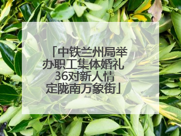 中铁兰州局举办职工集体婚礼 36对新人情定陇南万象街