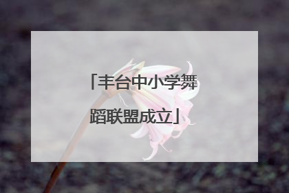 丰台中小学舞蹈联盟成立
