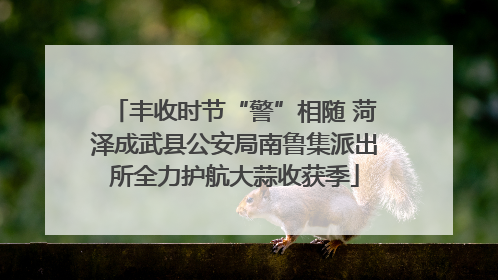 丰收时节“警”相随 菏泽成武县公安局南鲁集派出所全力护航大蒜收获季
