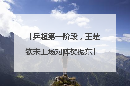 乒超第一阶段，王楚钦未上场对阵樊振东