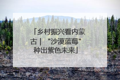 乡村振兴看内蒙古｜“沙漠蓝莓”种出紫色未来