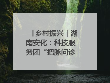 乡村振兴｜湖南安化：科技服务团“把脉问诊”水果产业