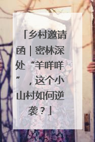 乡村邀请函｜密林深处“羊咩咩”，这个小山村如何逆袭？