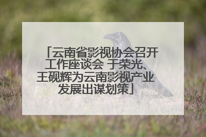 云南省影视协会召开工作座谈会 于荣光、王砚辉为云南影视产业发展出谋划策
