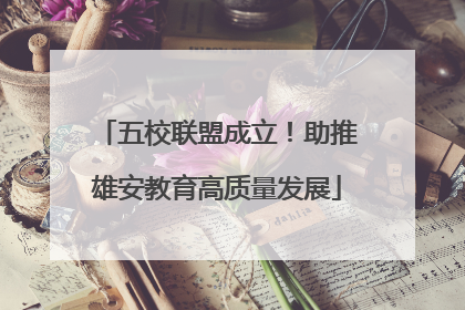 五校联盟成立！助推雄安教育高质量发展