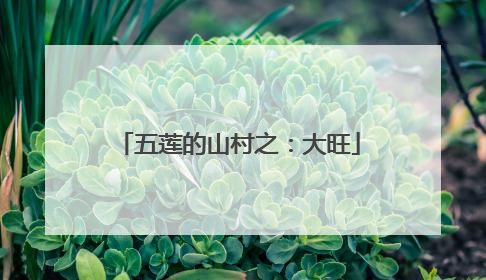 五莲的山村之：大旺