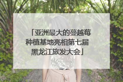 亚洲最大的蔓越莓种植基地亮相第七届黑龙江旅发大会