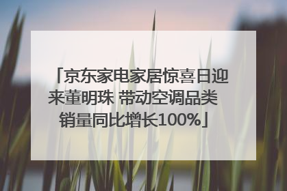 京东家电家居惊喜日迎来董明珠 带动空调品类销量同比增长100%