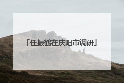 任振鹤在庆阳市调研