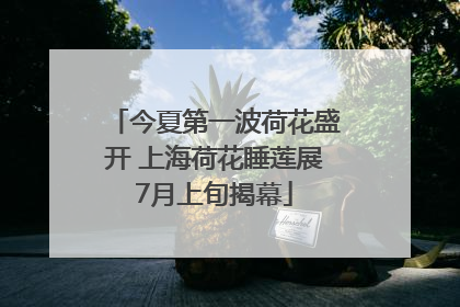 今夏第一波荷花盛开 上海荷花睡莲展7月上旬揭幕