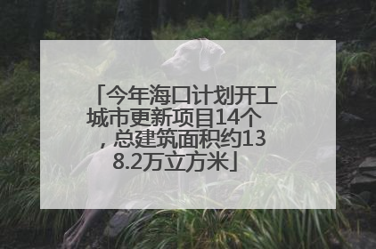 今年海口计划开工城市更新项目14个，总建筑面积约138.2万立方米