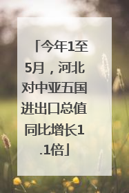 今年1至5月，河北对中亚五国进出口总值同比增长1.1倍