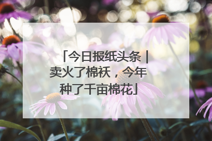 今日报纸头条｜卖火了棉袄，今年种了千亩棉花