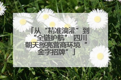 从“精准滴灌”到“全链护航” 四川朝天擦亮营商环境“金字招牌”