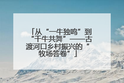 从“一牛独鸣”到“千牛共舞”——古渡河口乡村振兴的“牧场答卷”