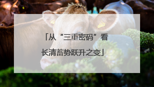 从“三重密码”看长清蓄势跃升之变