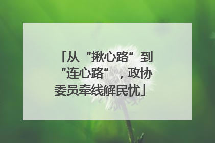 从“揪心路”到“连心路”，政协委员牵线解民忧