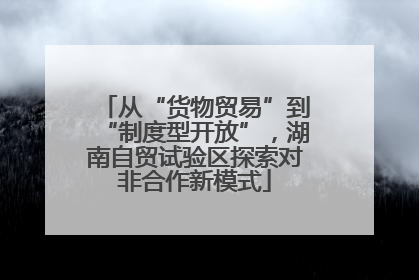 从“货物贸易”到“制度型开放”，湖南自贸试验区探索对非合作新模式