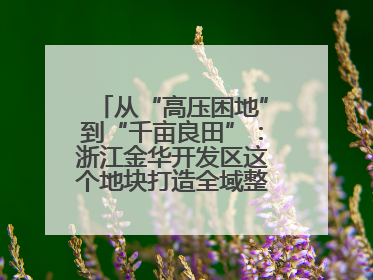 从“高压困地”到“千亩良田”：浙江金华开发区这个地块打造全域整治示范样本