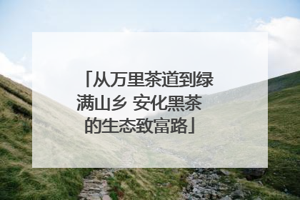 从万里茶道到绿满山乡 安化黑茶的生态致富路
