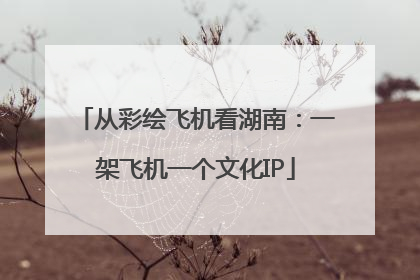 从彩绘飞机看湖南：一架飞机一个文化IP