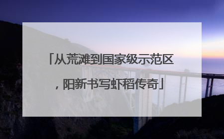 从荒滩到国家级示范区，阳新书写虾稻传奇