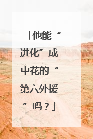他能“进化”成申花的“第六外援”吗？