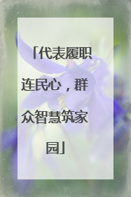 代表履职连民心，群众智慧筑家园